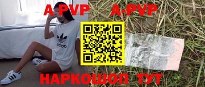 МДПВ Кингисепп