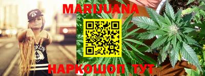 МДПВ Кингисепп