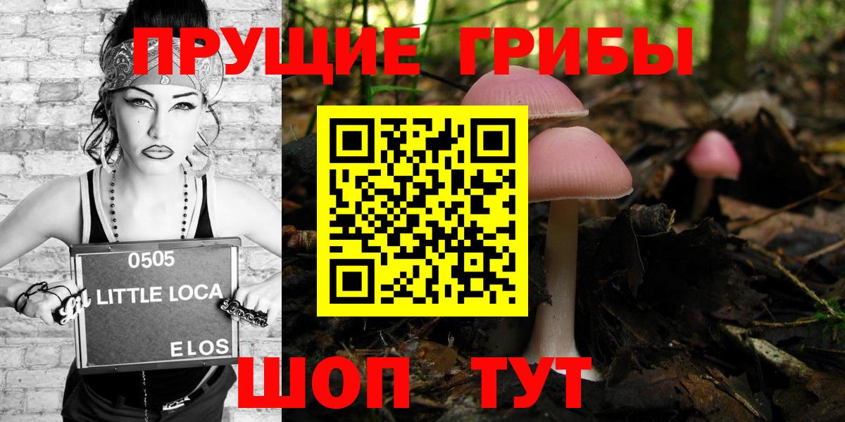 Кушва  Галлюциногенные грибы GOLDEN TEACHER  Псилоцибиновые грибы Magic Shrooms  Вход с VPN 